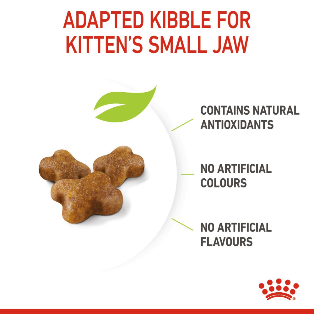 Royal Canin Kitten Cat Dry and Wet Food Combo image 8