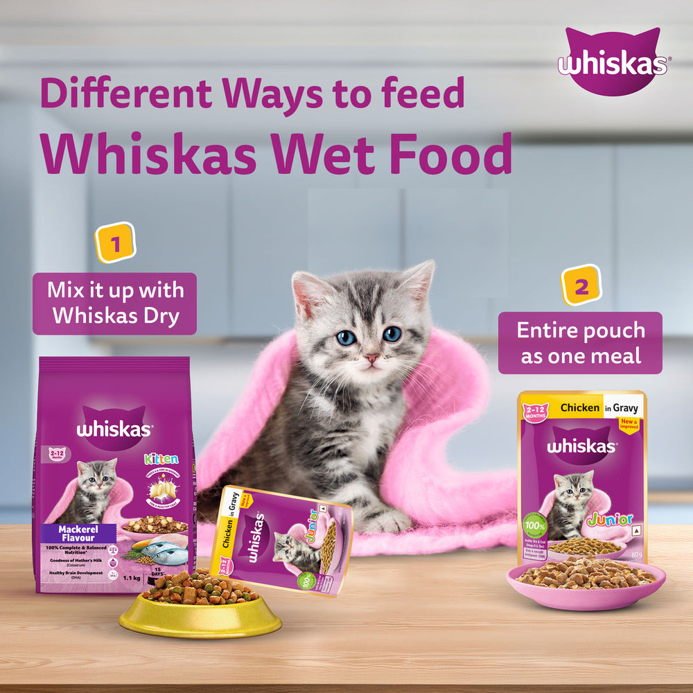 Whiskas Chicken in Gravy Meal Kitten Wet Food image 9