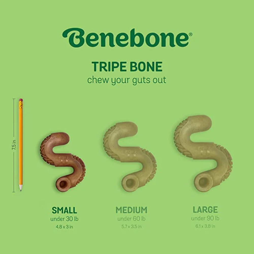 Benebone Tripe Bone Chew Toy for Aggressive Chewers Dogs image 3