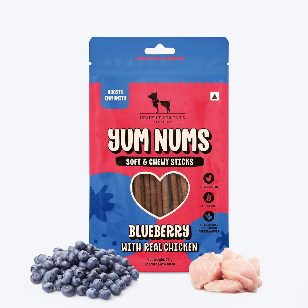 HUFT Sara's Wholesome Grain Free Chicken & Turkey Wet Food and Yum Nums Blueberry with Real Chicken Soft & Chewy Sticks Dog Treats Combo image 10