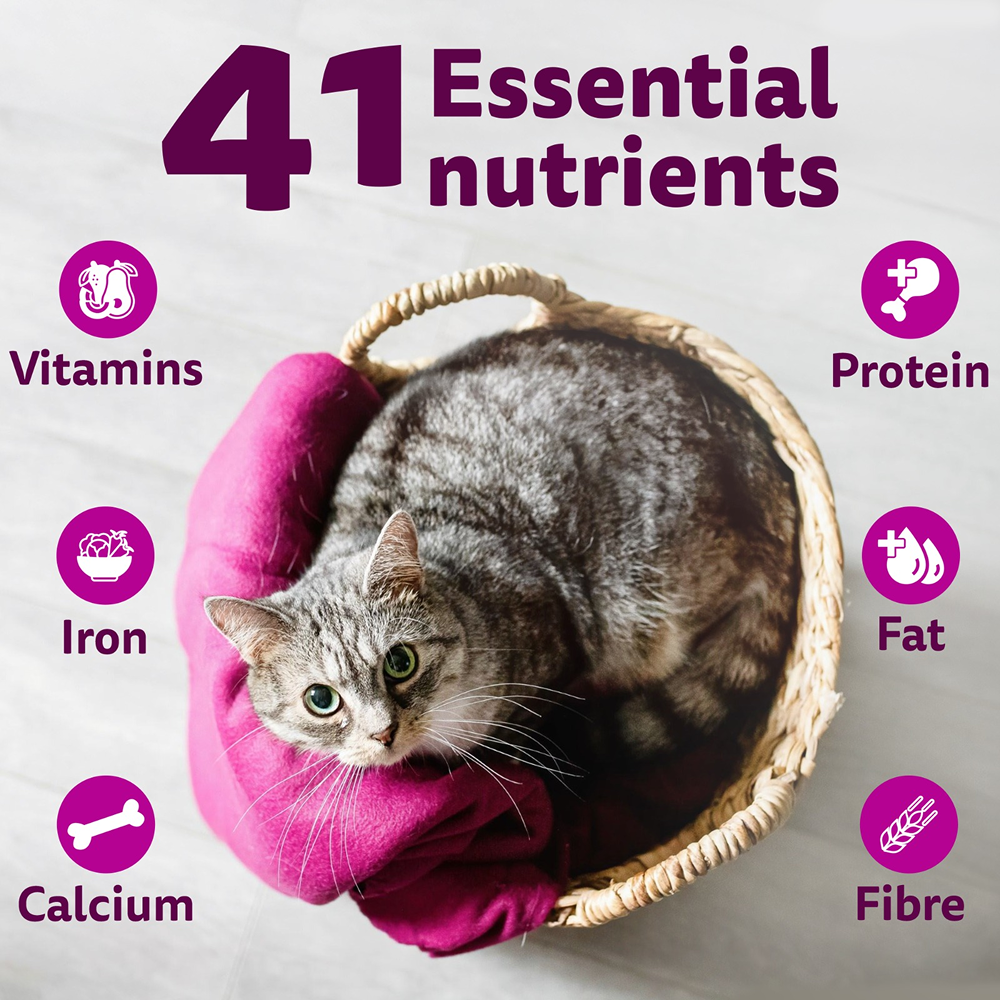 Whiskas Chicken Flavour Cat (Adult 1+) Dry Food image 7