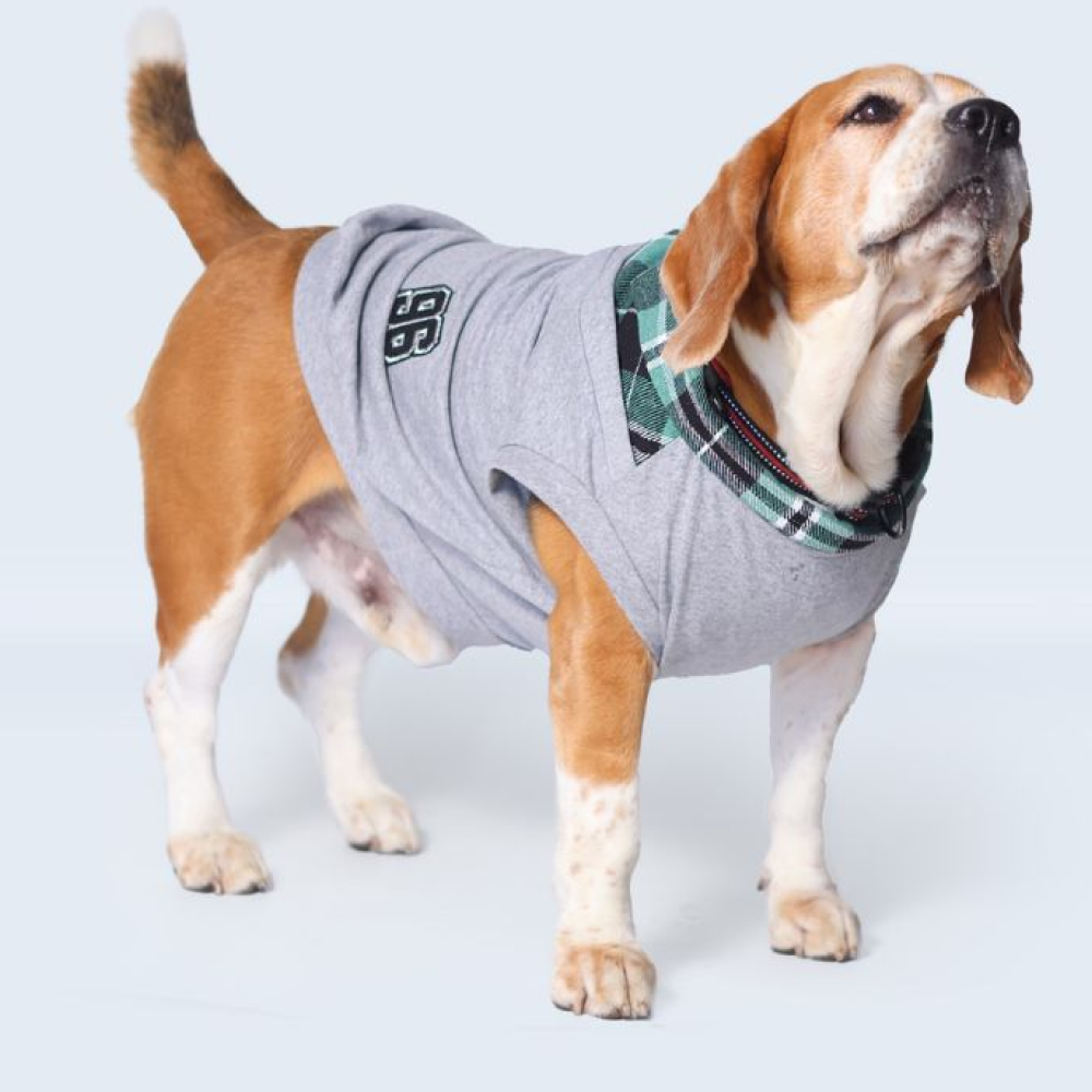 Pet Set Go Polo Knit Tshirt for Dogs (Grey)