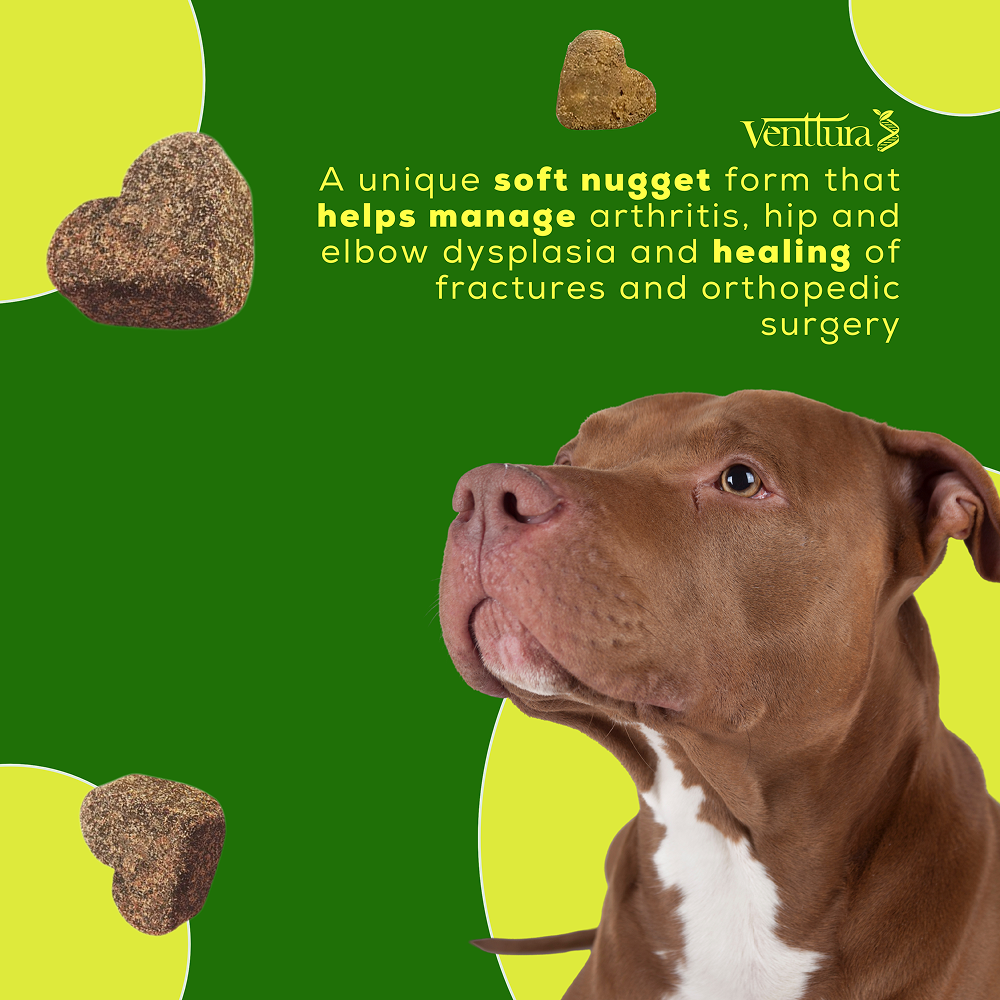 Venttura Inhancer Hip & Joint Soft Nuggets Supplements for Dogs image 2