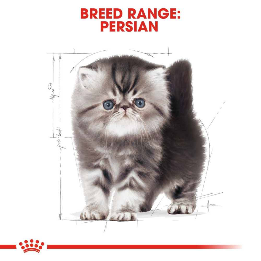 Royal Canin Persian Kitten Cat Dry Food image 7