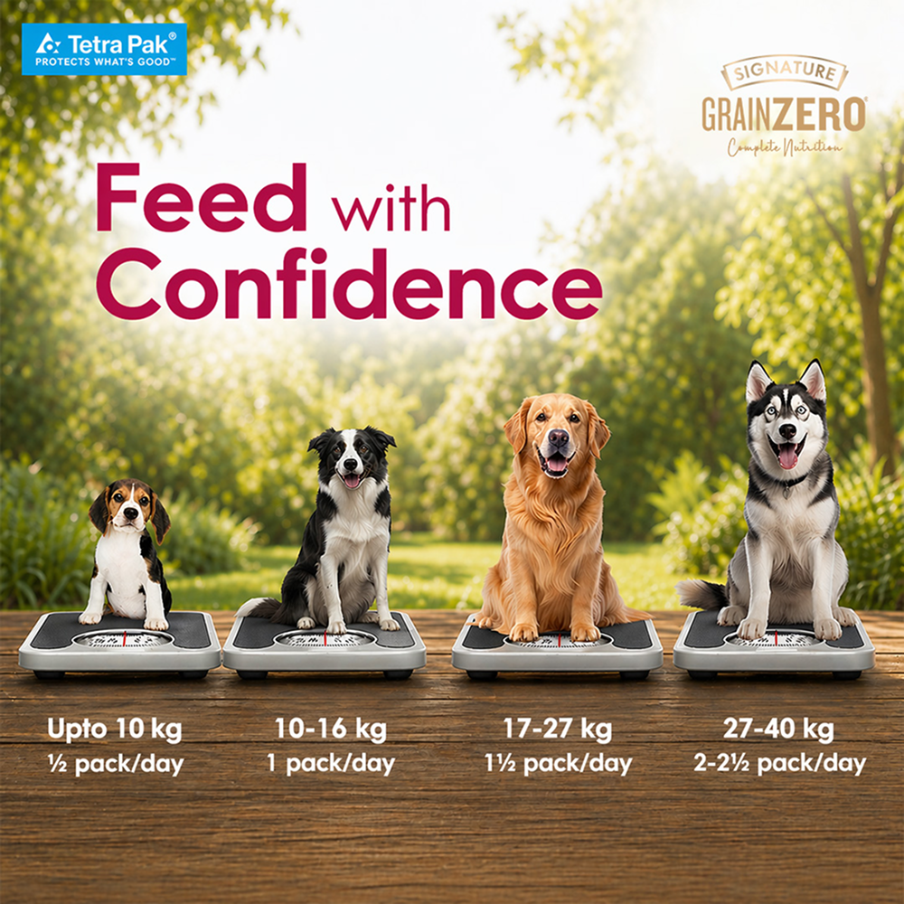 Signature Grain Zero Tetra Pack Real Chicken Turkey Dog Fresh Food image 9
