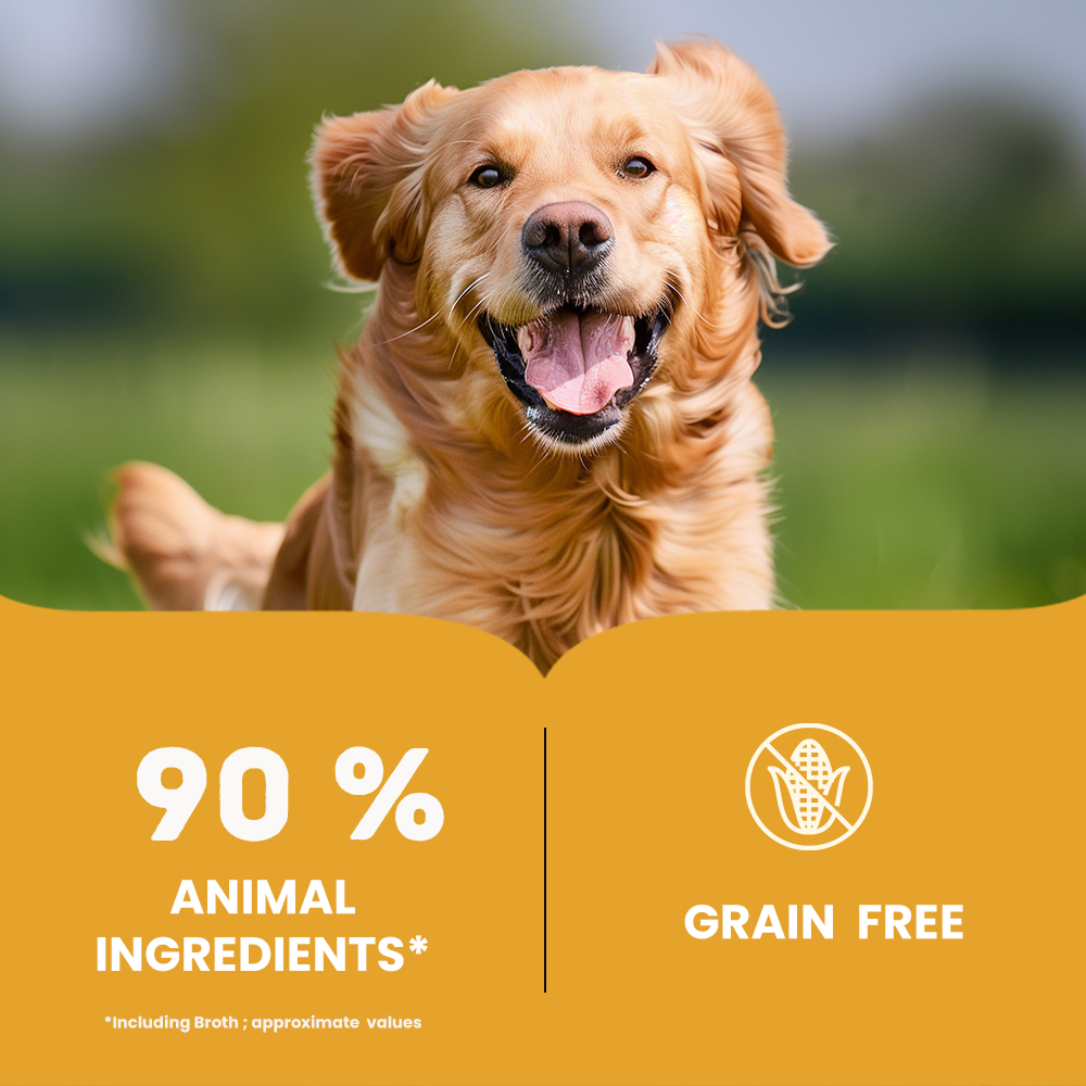 Bruno's Wild Essentials Chicken Pate Dog Wet Food image 2