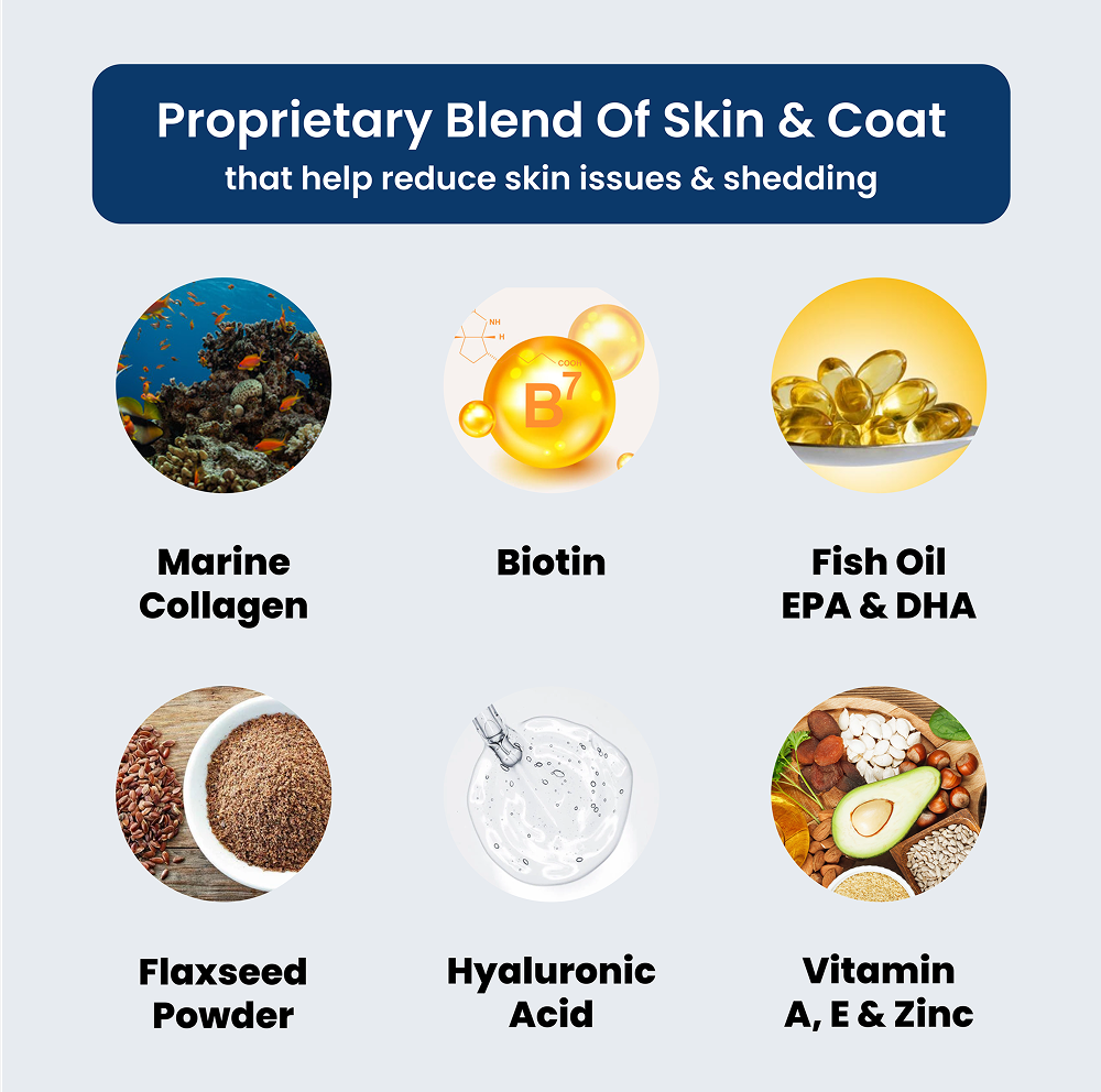 Absolut Pet Skin & Coat with Collagen and Biotin Dog Supplements image 4