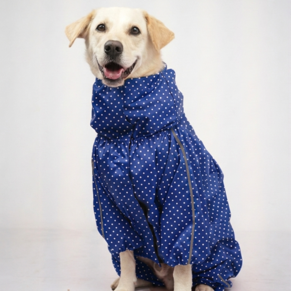 Skatrs Storm Chaser Raincoat for Dogs (Blue) image 6
