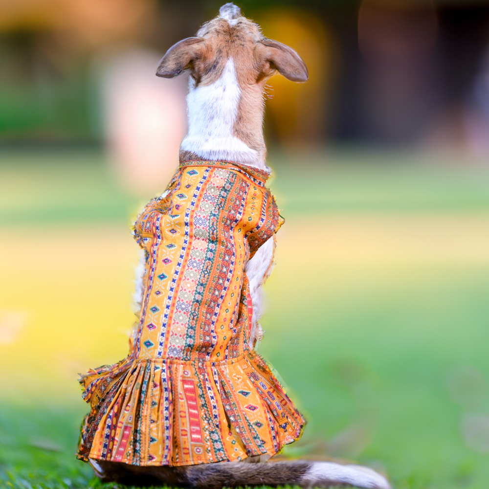 Skatrs Cotton Printed Dress for Dogs and Cats (Yellow) image 2