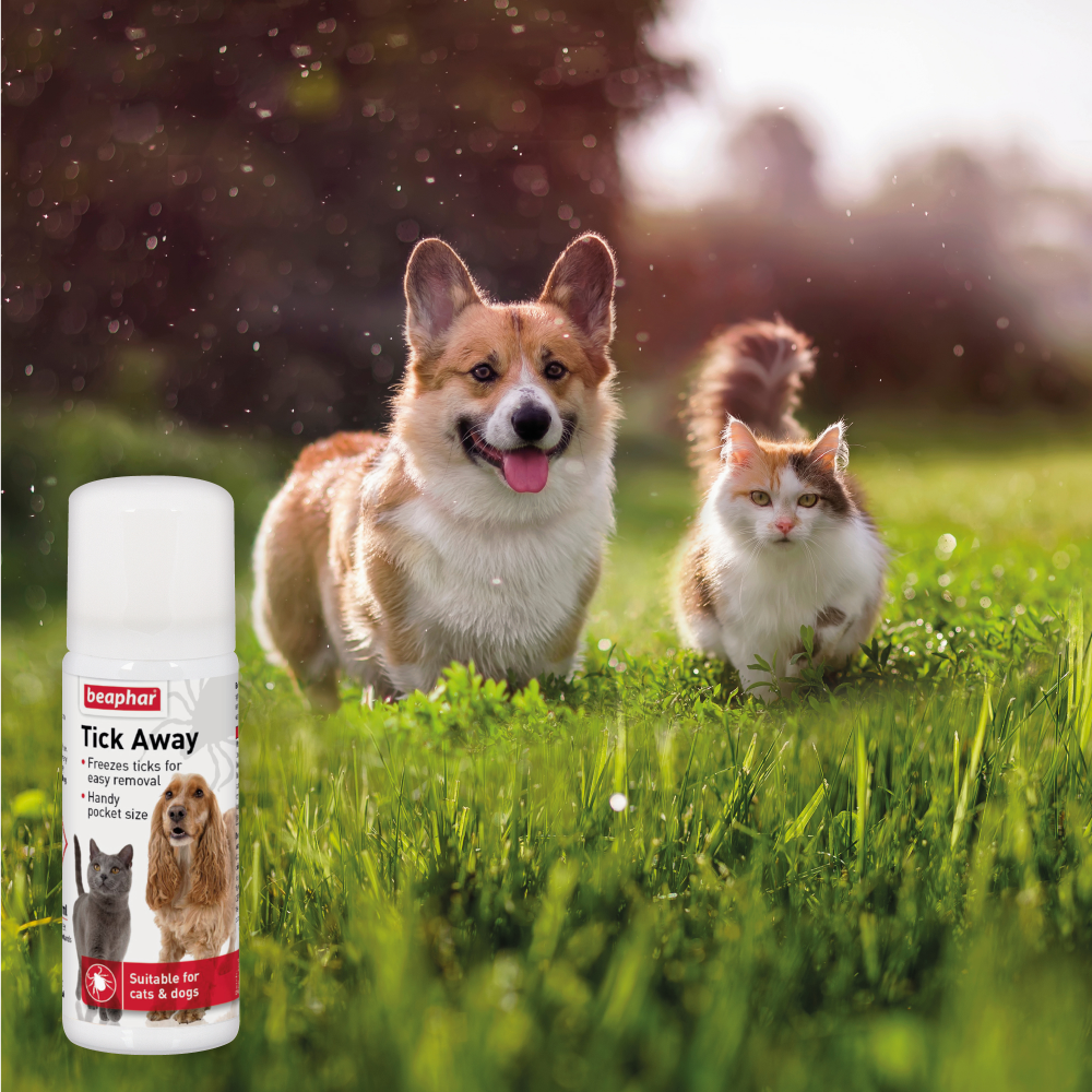 Beaphar Tick Away Spray for Dogs and Cats image 3