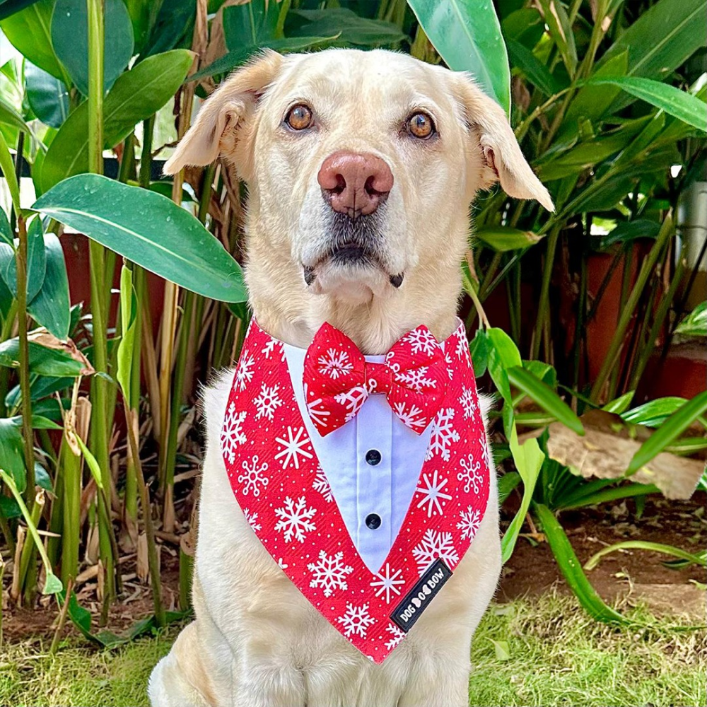 Dogobow Aztec Print Tuxedo Bandana for Dogs (Red) image 1