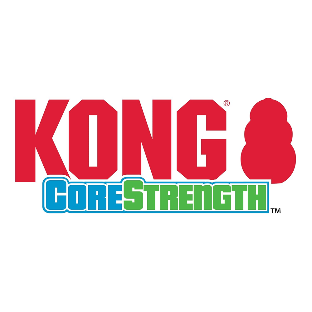 Kong CoreStrength Bone Toy for Dogs (Blue & Green) image 5