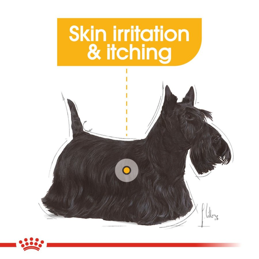 Royal Canin Dermacomfort Mini for Small Dog Dry Food image 10