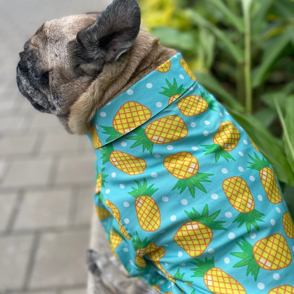 15buttons Pineapple Polka Shirt for Dogs image 2