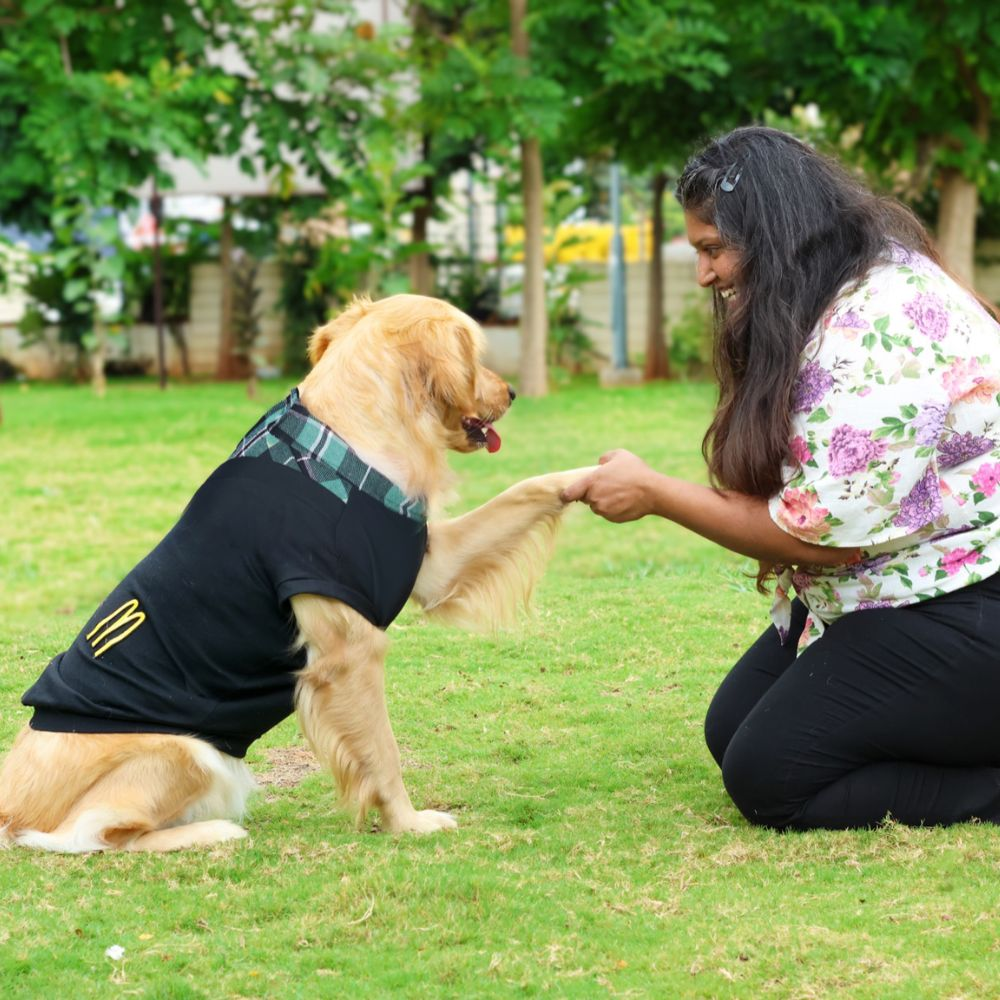 Pet Set Go Polo Knit Tshirt for Dogs (Black) image 8