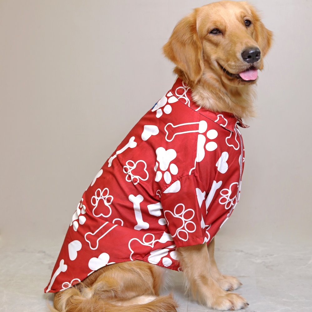 15buttons Paws-tive Love Shirt for Dogs image 3