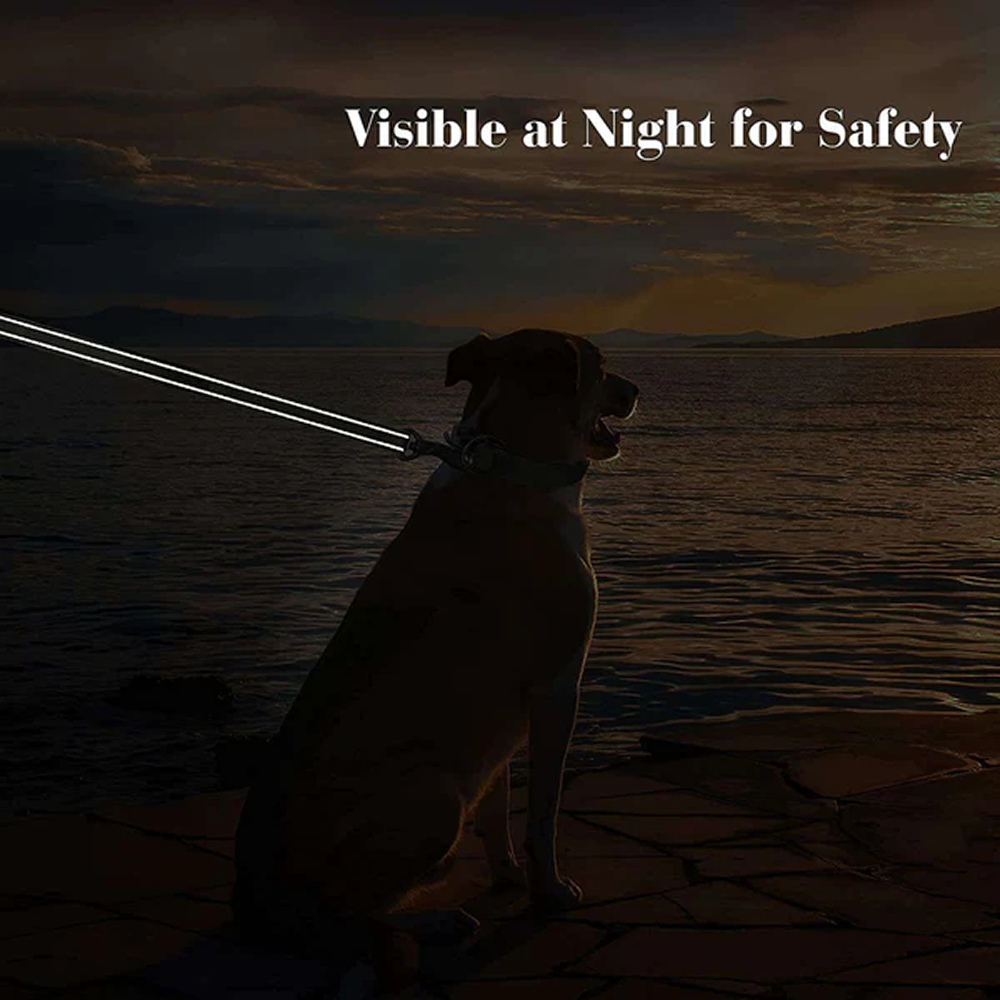 Hank Leash Design for Heavy Puller Dogs (Red) image 7