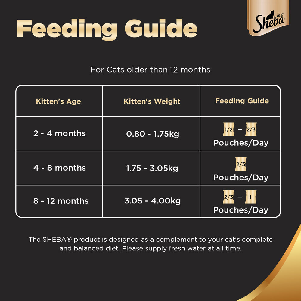 Sheba Chicken Loaf Rich Premium Kitten (2 to 12 Months) Fine Wet Food and Irresistible All Life Stage Cat Dry Food Combo image 5