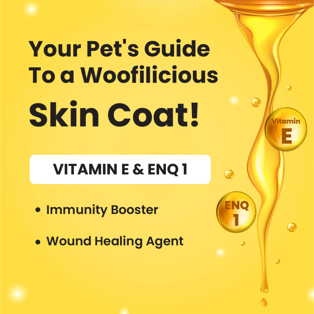 Bark Out Loud Skin & Coat Sardine Oil for Dogs and Cats image 4