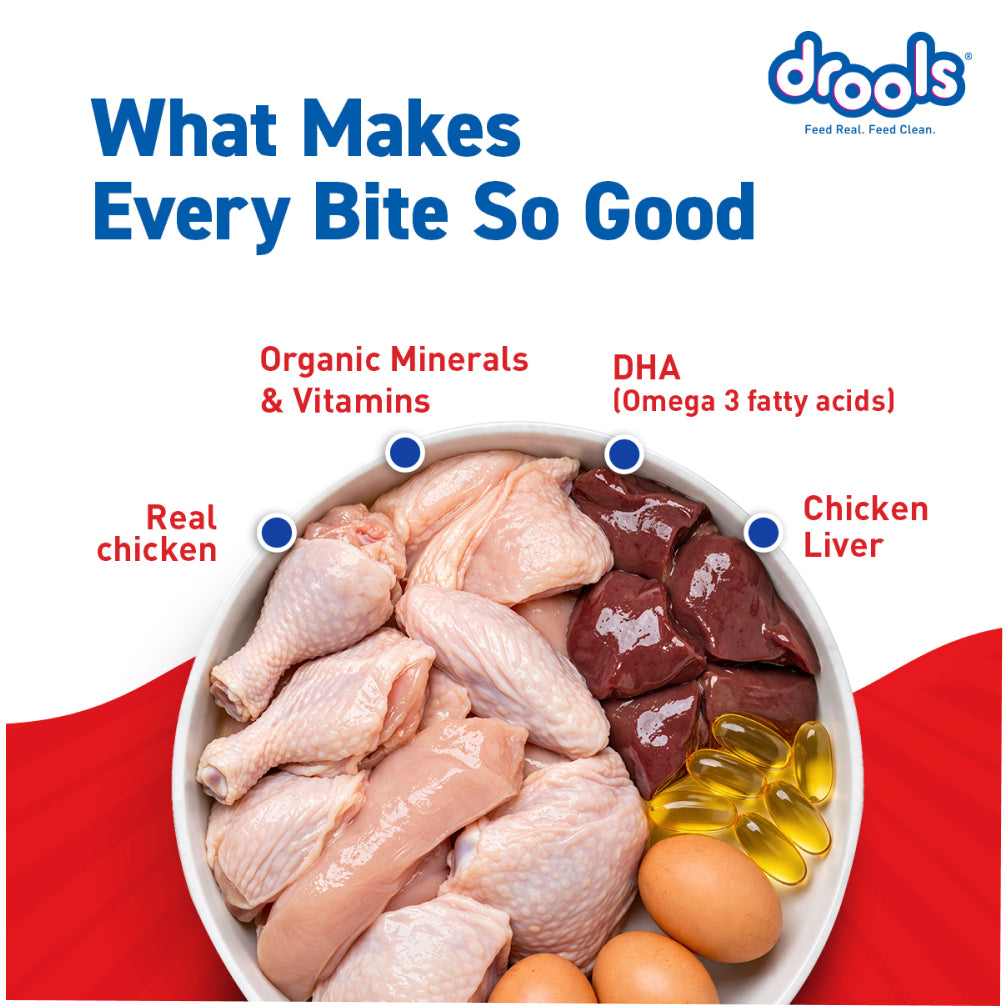 Drools Real Chicken & Chicken Liver Chunks in Gravy Puppy Dog Wet Food image 5