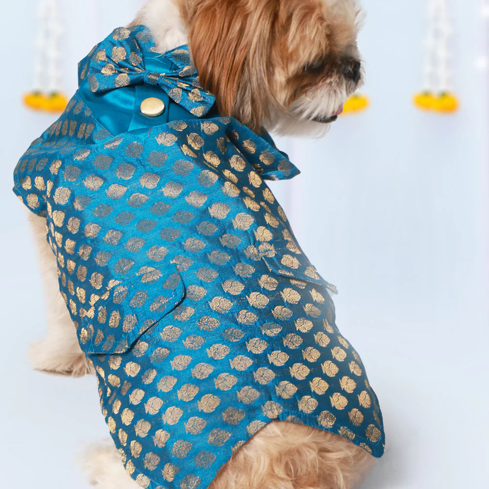 Pet Set Go Kurta with Bowtie  for Dogs (Blue) image 2
