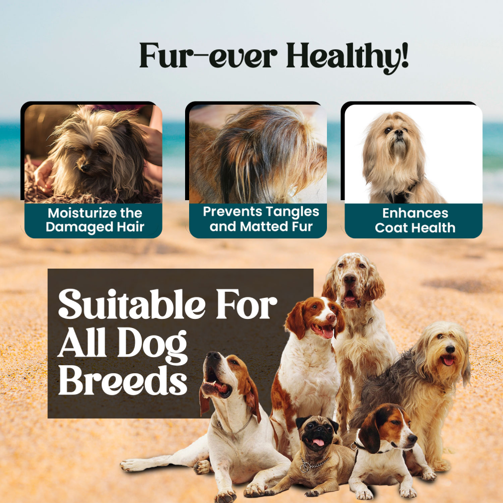Forbis/Forcans Long Coat Aloe Shampoo for Dogs image 7