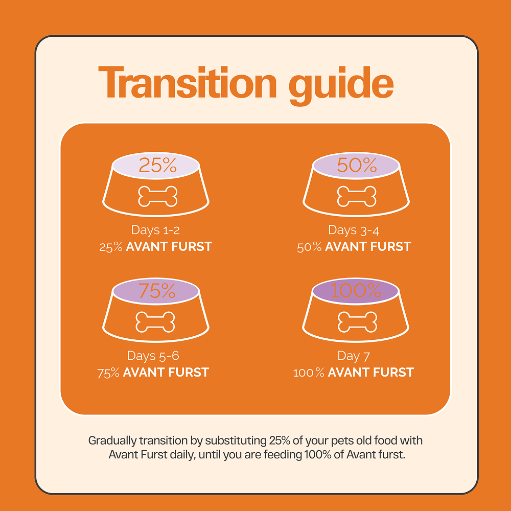 Avant Furst Chicken and Vegetable Adult Dog Dry Food image 3