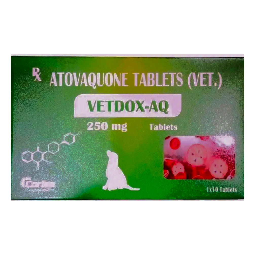Corise Vetdox AQ 250mg Tablets (Atovaquone) for Dogs and Cats
