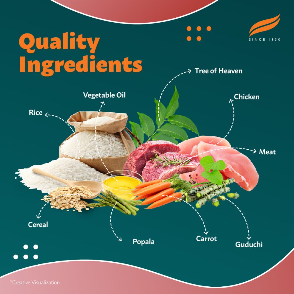 Himalaya Meat & Rice Healthy Pet Adult Dog Dry Food image 2