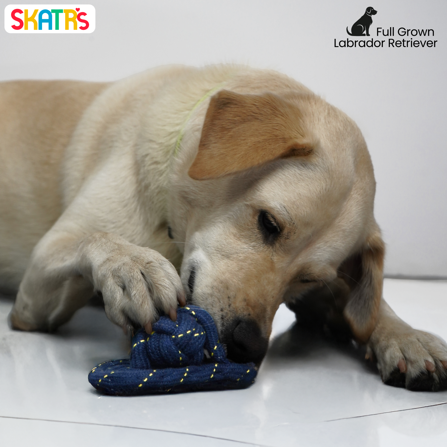 Skatrs Sandal Shaped Hand Made, Durable Rope Chew Toy for Dogs & Cats image 4
