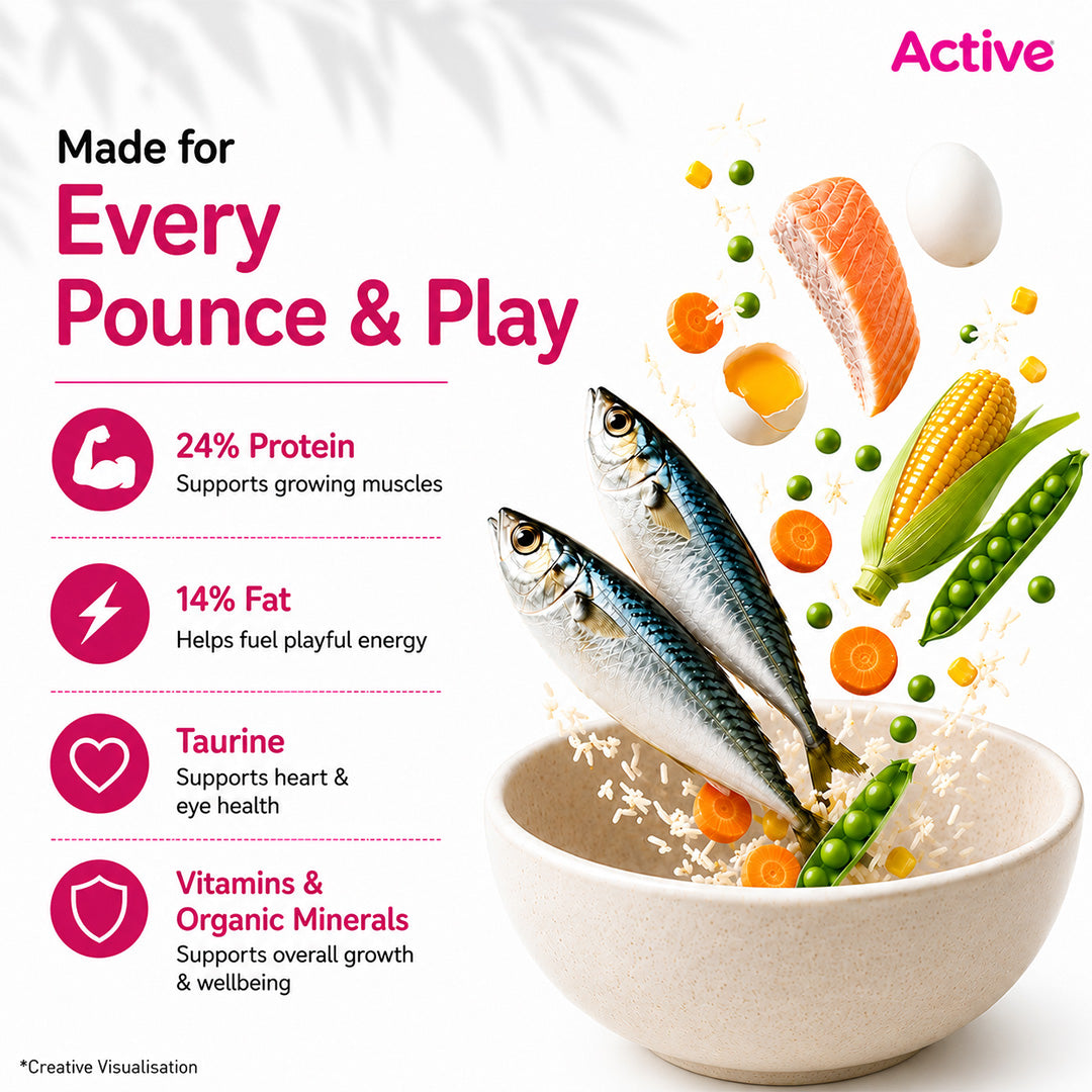 Active Ocean Fish Kitten Cat Dry Food (Buy 1 Get 1) image 7