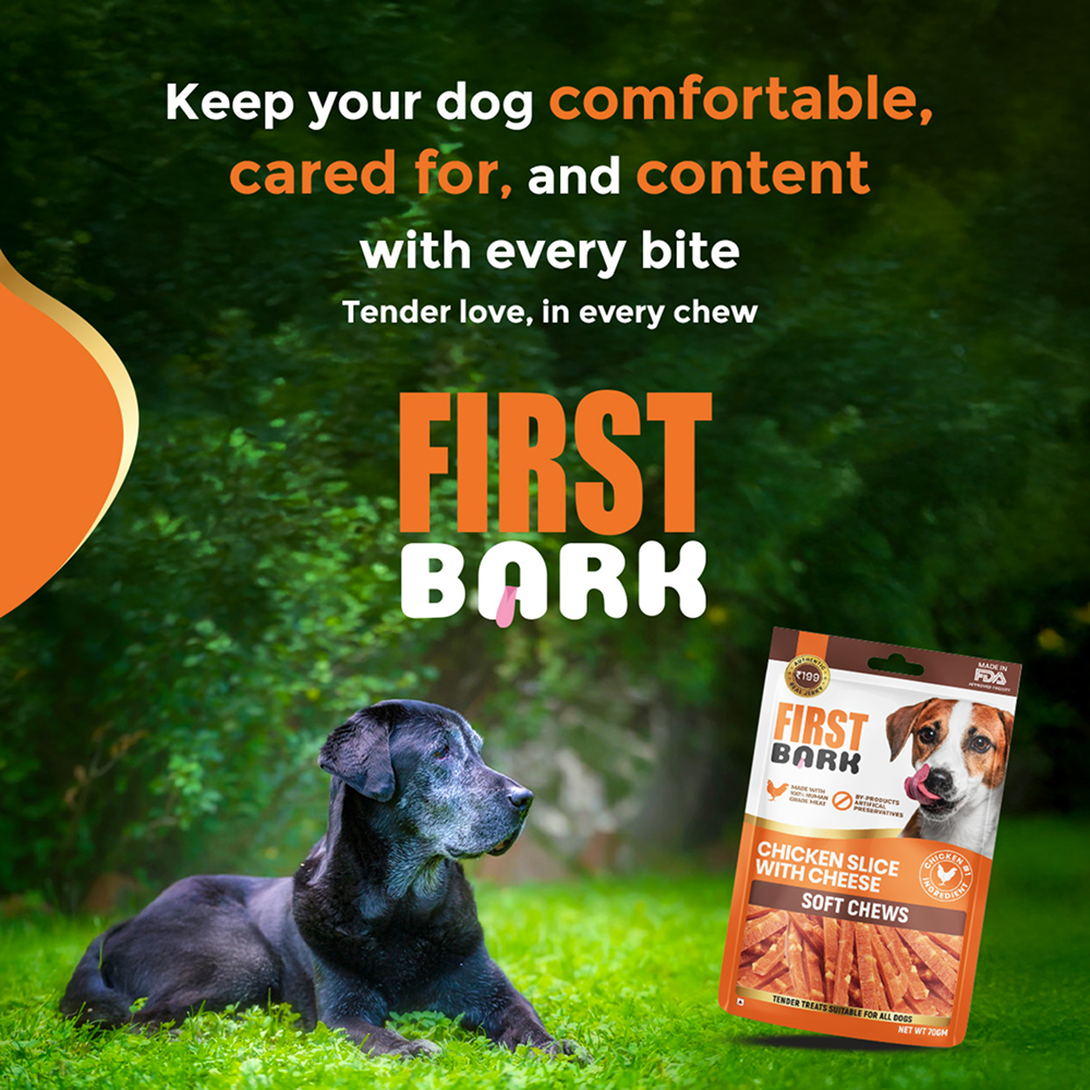 First Bark Chicken Slice with Cheese Jerky Dog Treat image 8