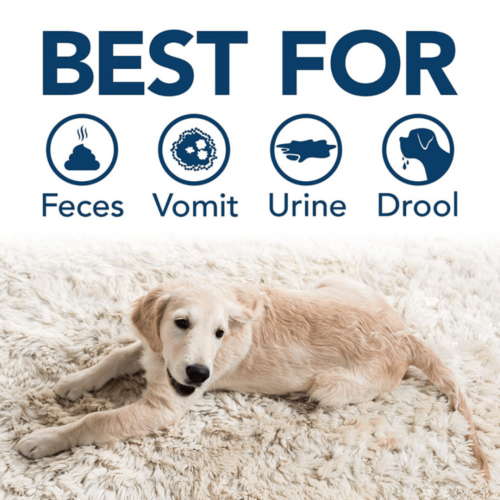 Simple Solution Stain & Odor Remover for Dogs image 3