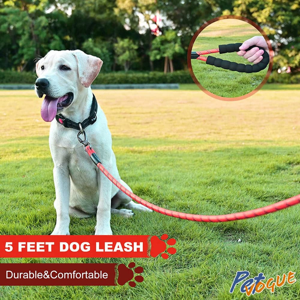 Pet Vogue Rope Leash for Dogs (Red) image 5