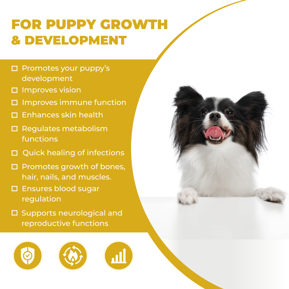 FurBall Story Cannivin Healthy Bones & Teeth Oral Nutritional Spray for Dogs image 3