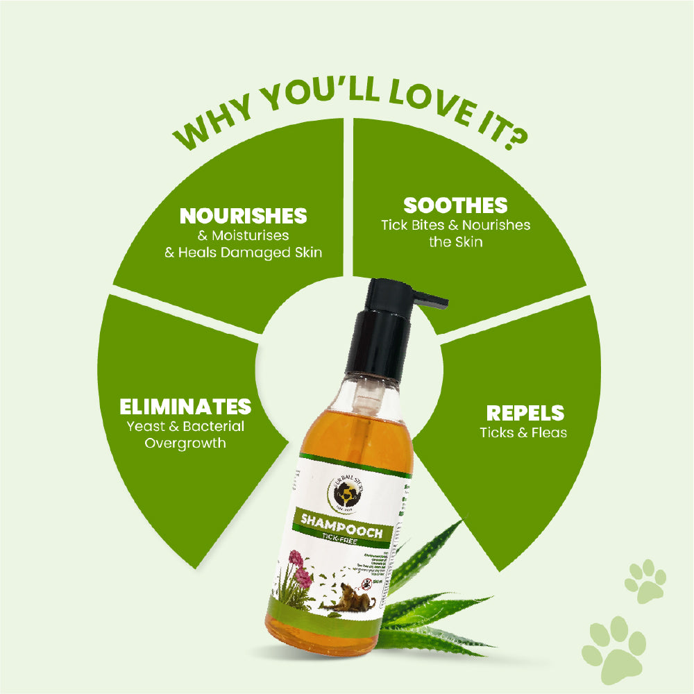 FurBall Story Shampooch Tick Free Shampoo for Dogs image 5