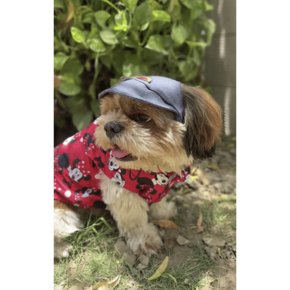 Pawgypets Cap for Dogs and Cats (Denim) image 4