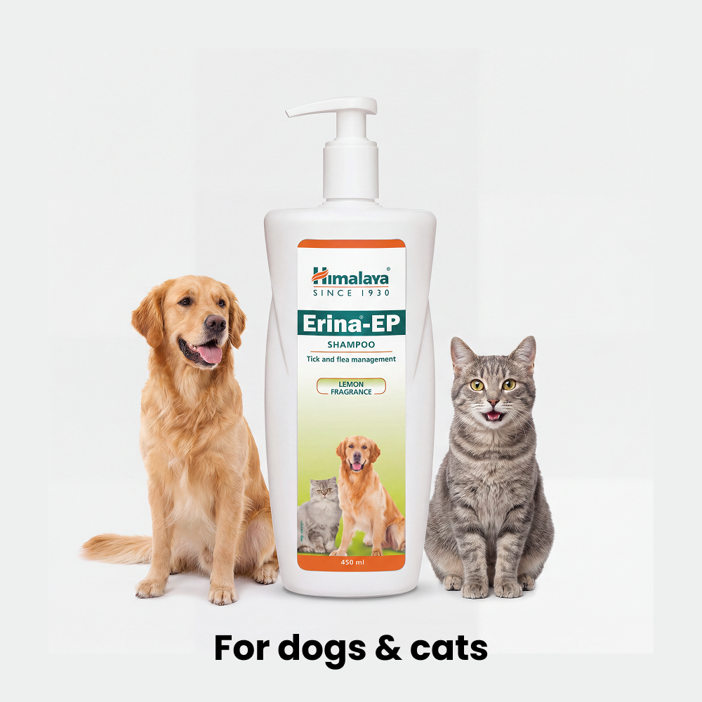 Himalaya Erina EP Tick and Flea Shampoo for Dogs and Cats image 4