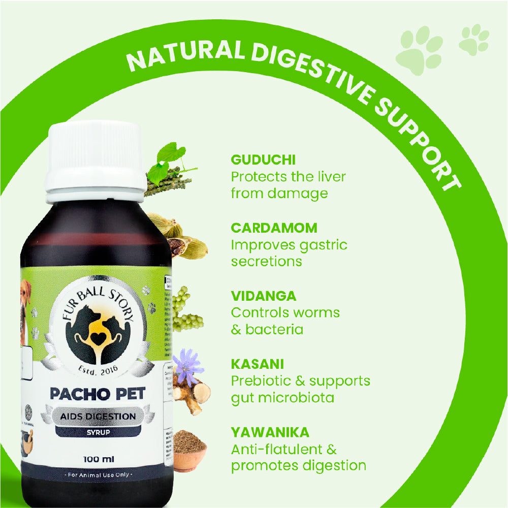 FurBall Story Pacho Relieves Stomach Issues Syrup for Dogs & Cats image 4