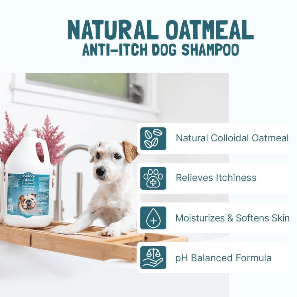 Bio Groom Natural Oatmeal Soothing Shampoo for Dogs and Cats image 6