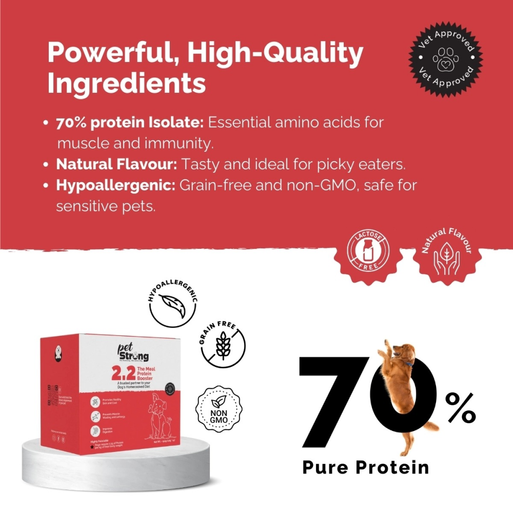 PetStrong 2.2  Meal Protein Booster for Dogs image 8