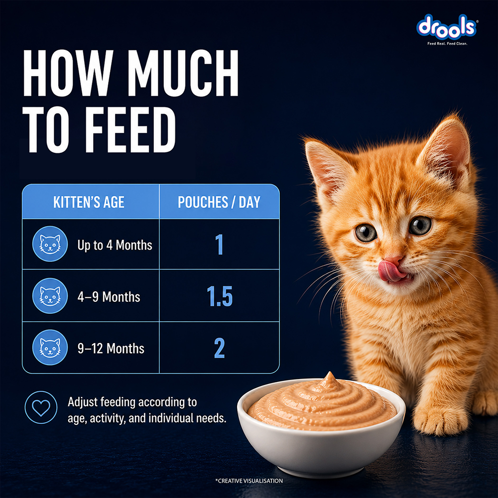 Drools Ocean Fish Mousse Kitten Cat Wet Food image 8