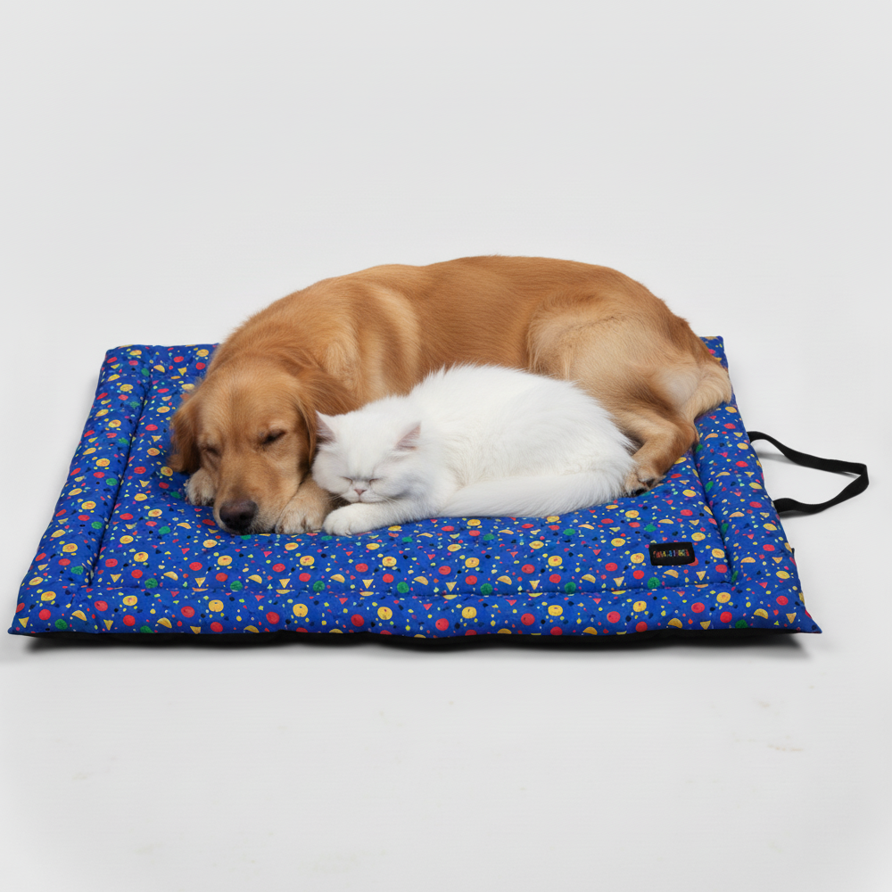 Skatrs Stellar Vibrant Space Mat for Dogs & Cats