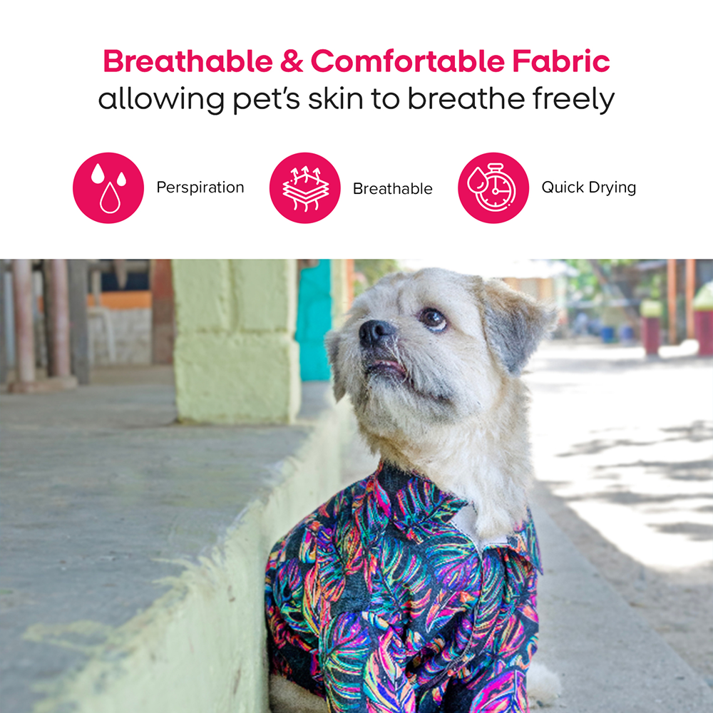 15buttons Neon Tropical Shirt for Dogs image 6