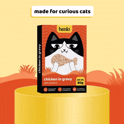 Henlo Chicken in Gravy with Turmeric Adult Cat Wet Food | 100% Human Grade Ingredients (Pack of 3)