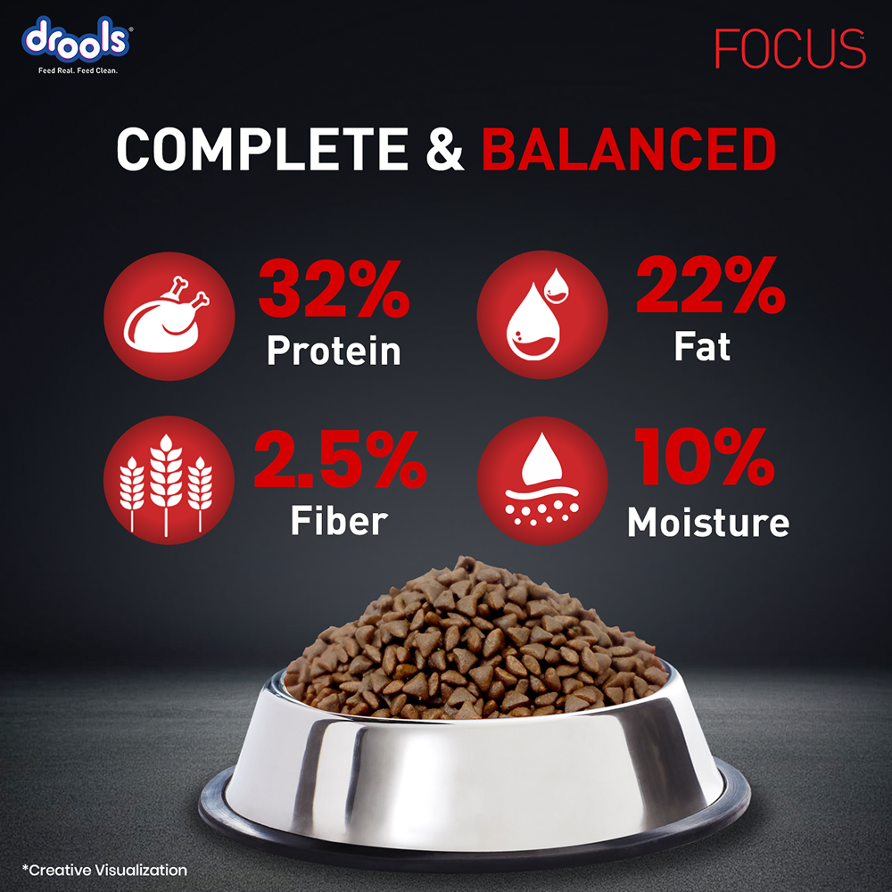 Drools Focus Super Premium Starter Dog Dry Food | Corn & Wheat Free Formula image 9