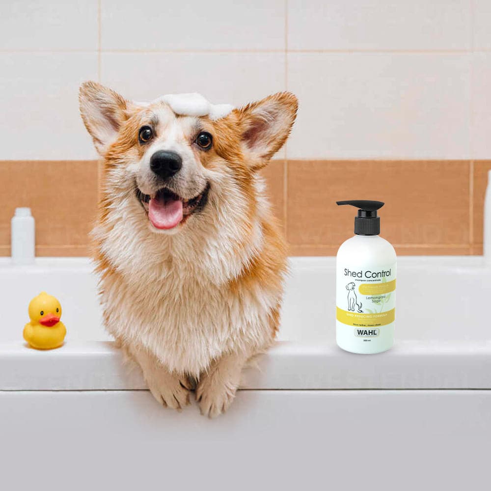 Wahl Shed Control Shampoo for Dogs (Lemongrass & Sage) image 6