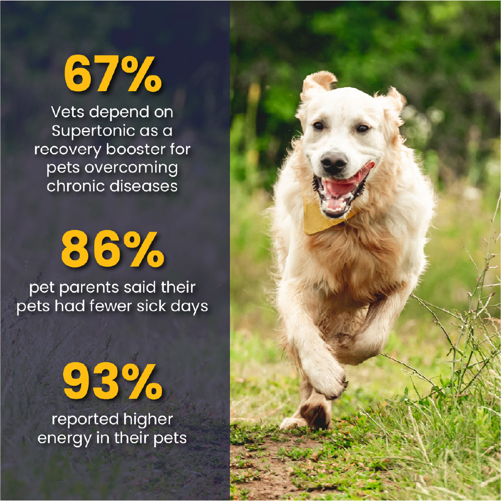 FurBall Story Supertonic Overall Wellness Syrup for Dogs and Cats image 9