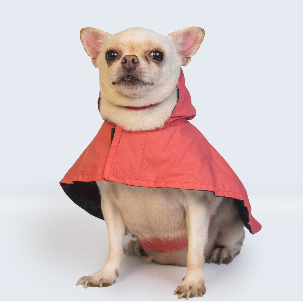 Pet Set Go Cape Style Raincoat for Dogs (Red) image 9