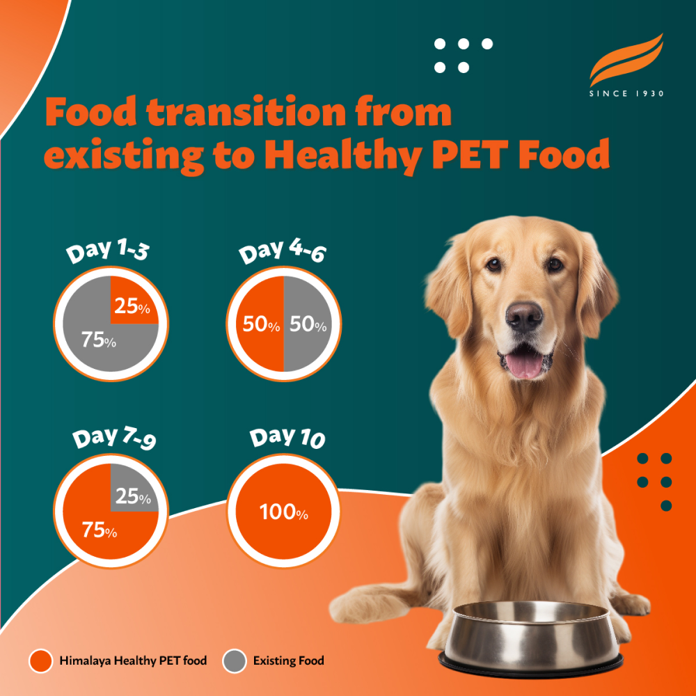 Himalaya Chicken & Pumpkin Adult Dog Dry Food image 7